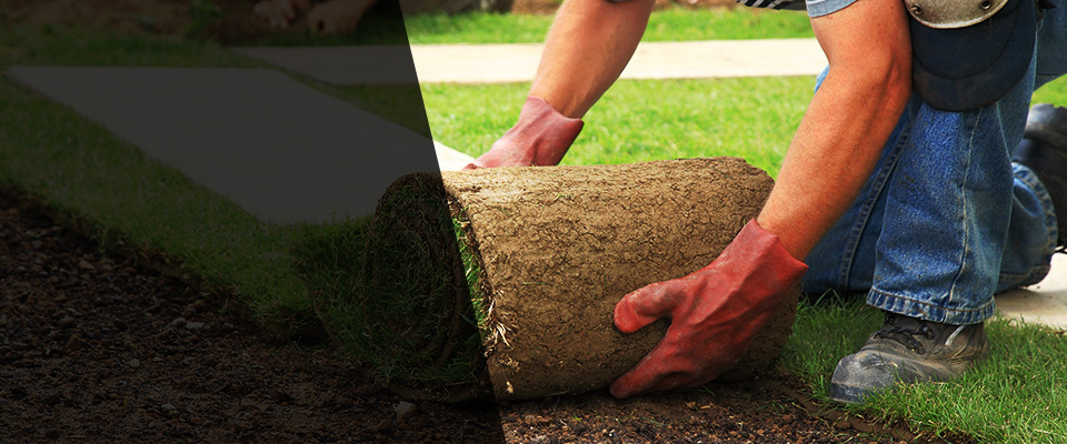 Murfreesboro Landscapers